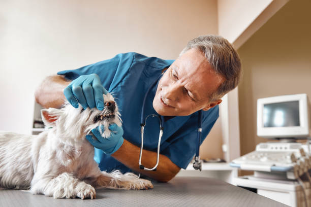 Best Emergency Tooth Extraction in Covedale, OH