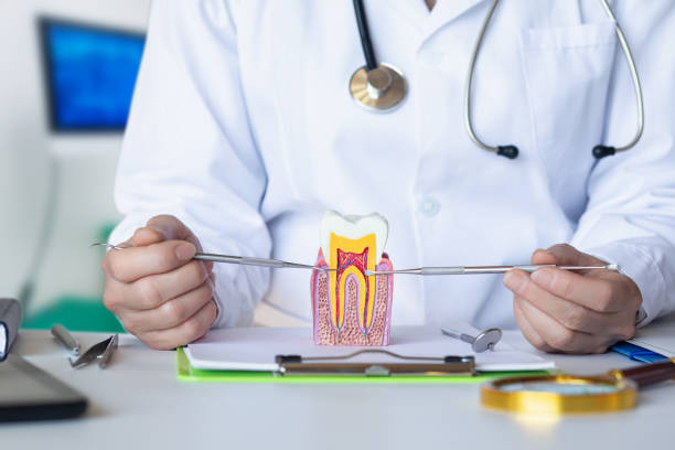 Best Emergency Dental Care for Broken or Chipped Teeth in Covedale, OH